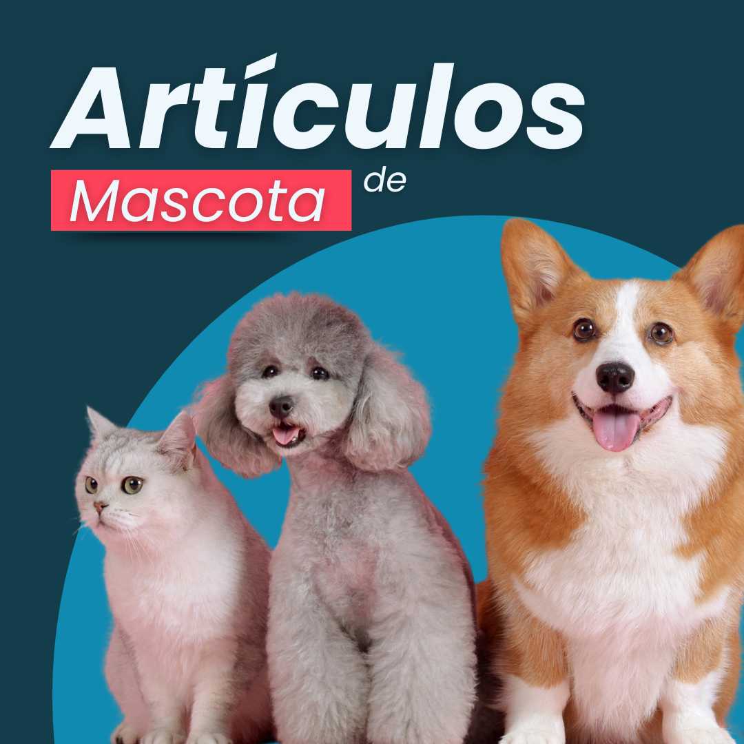 MASCOTAS