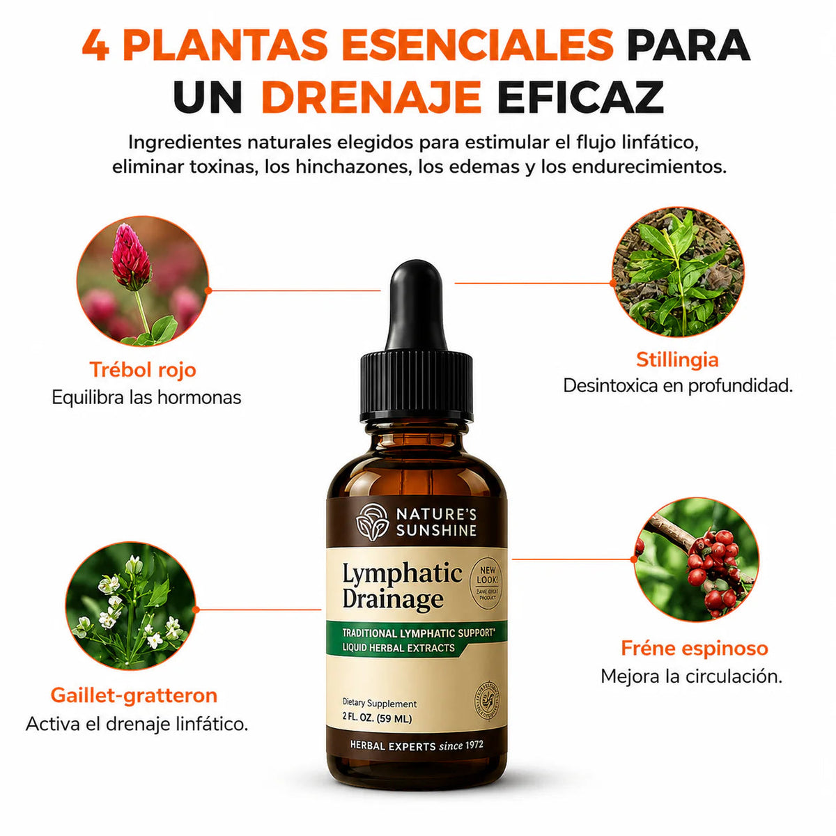 DRENAJE LINFATICO NATURAL ORIGINAL🤩